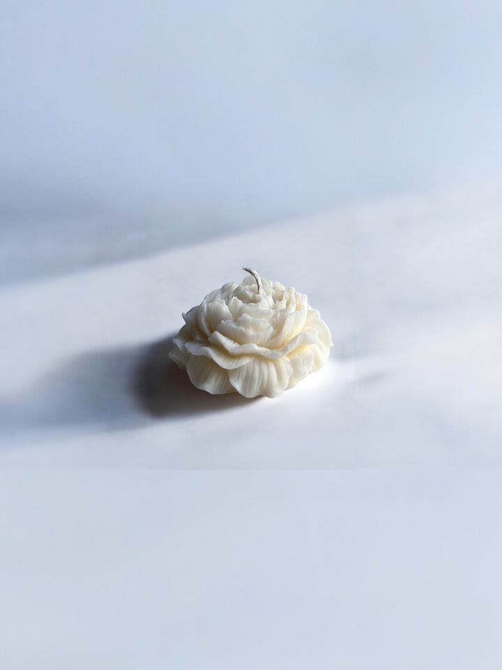 Collection bougies fleurs