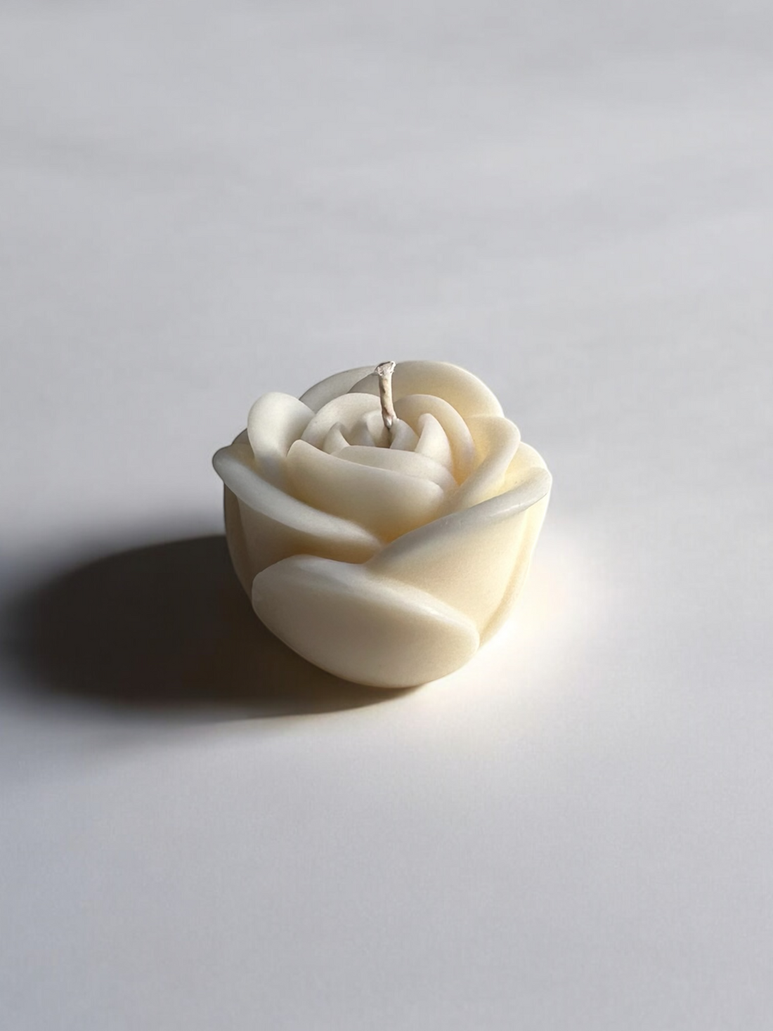 Bougie la rose