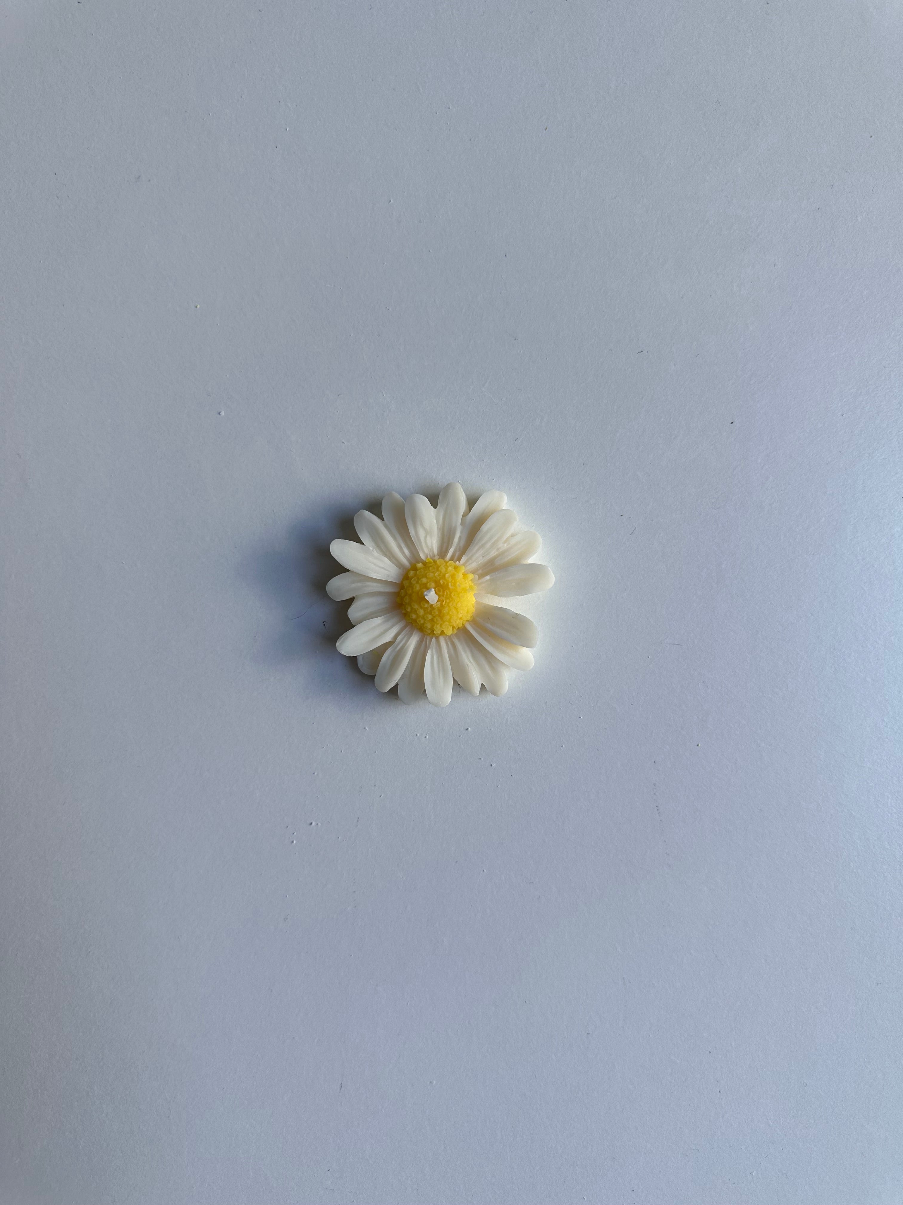 La bougie marguerite