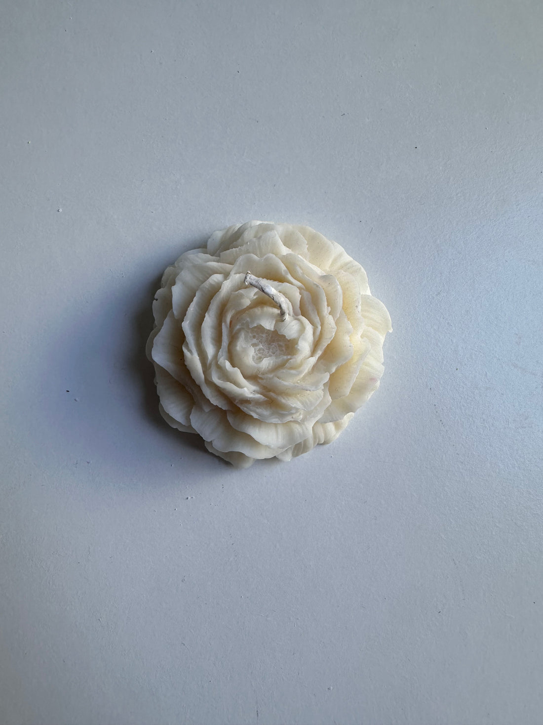 La bougie pivoine