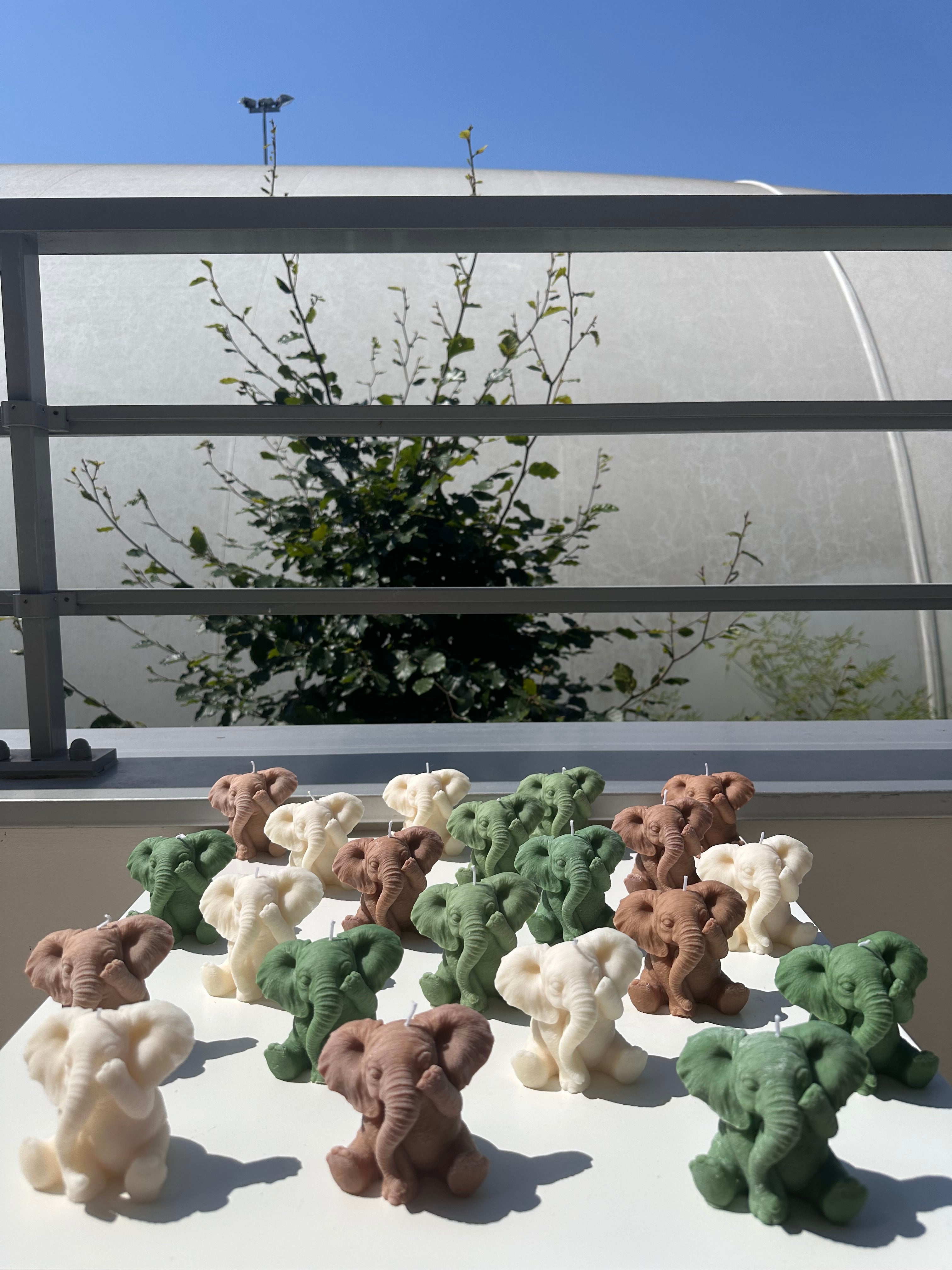 La grande bougie éléphant