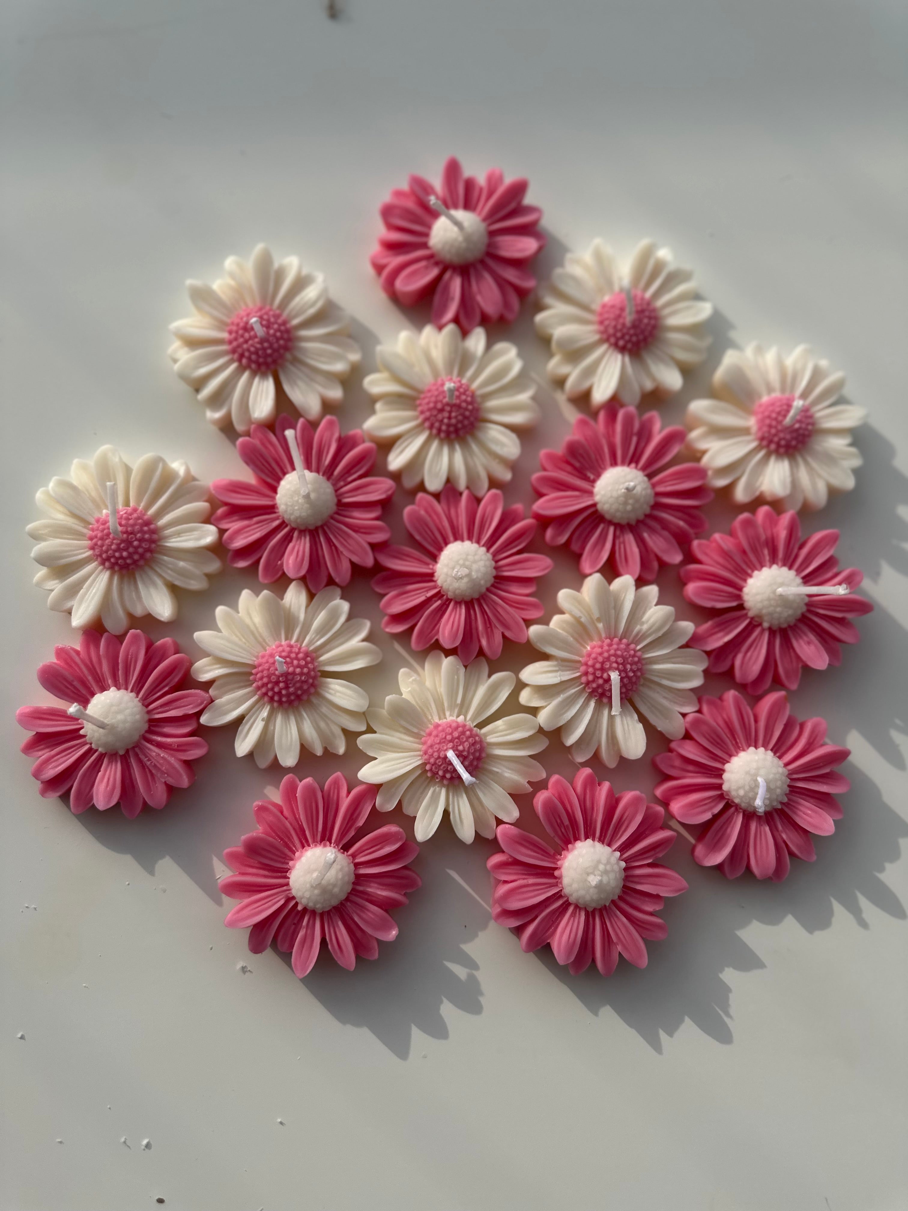 La bougie marguerite