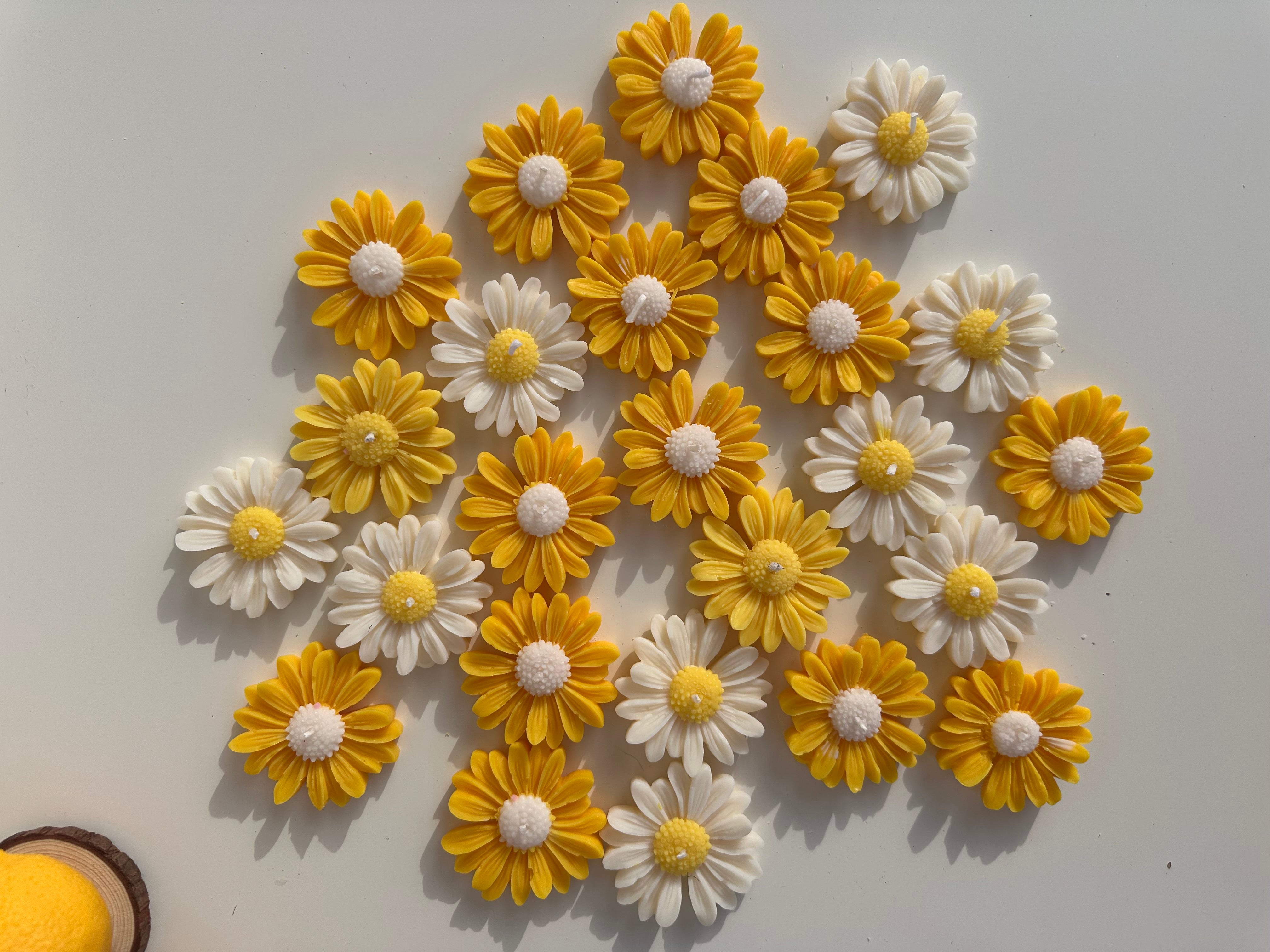 La bougie marguerite